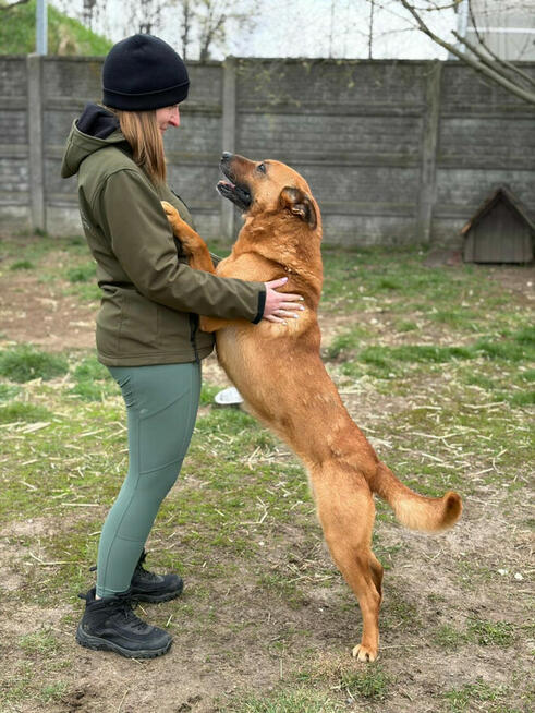 Ester seniorka ok 10 letnia sunia o wielkim sercu Bełchatów