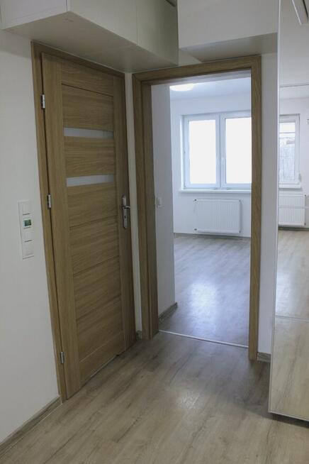 Słoneczne mieszkanie z oazą zieleni