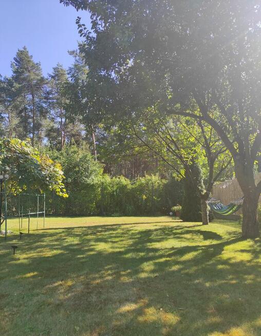 Działka ROD pod lasem (zewnętrzna)