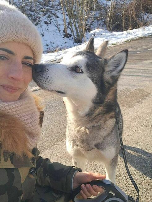 Sonia II - pies z Schroniska w Tychach. Adopcja. Szuka domu