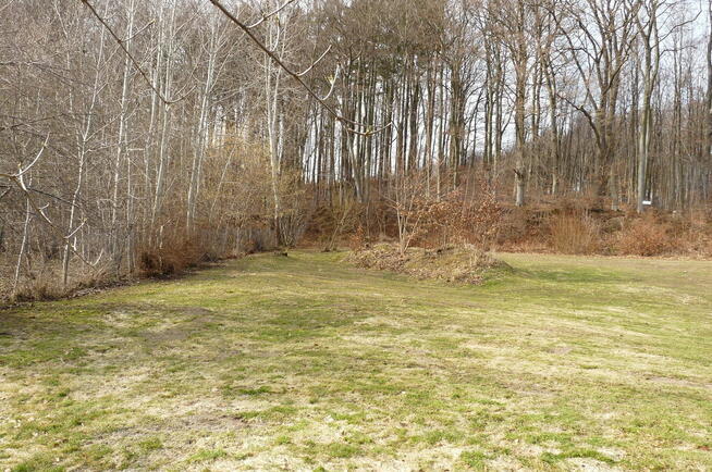 Działka przy lesie/ Park Krajobrazowy/dom lub inwestycja