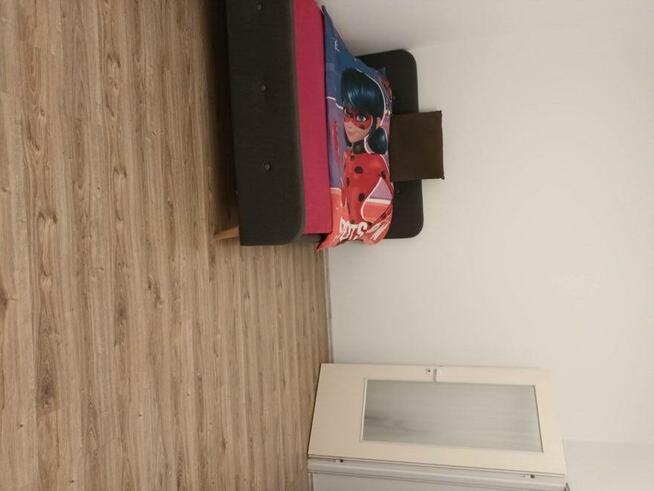 Kawalerka 45m2 na Polesiu od zaraz do wynajęcia