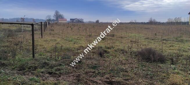 Podział 4 działek 8264m² Tłumy gm Mszczów MPZP 3MN