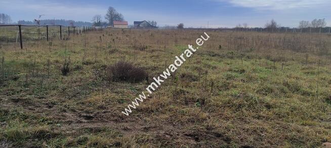 Podział 4 działek 8264m² Tłumy gm Mszczów MPZP 3MN