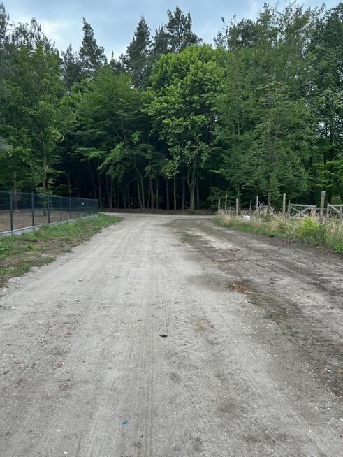 Wyjątkowa działka przy lesie, blisko nowych domów