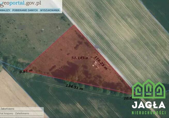 Działka rolna Ostrowite gm. Lniano