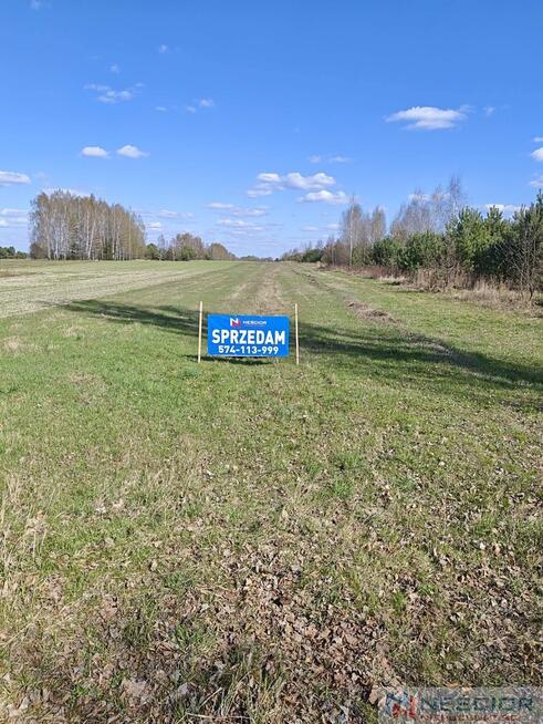 Działka rolna 5800 m2 -Dąbrowa, gm Mrozy