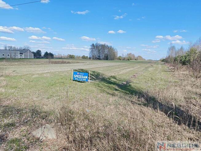 Działka rolna 5800 m2 -Dąbrowa, gm Mrozy