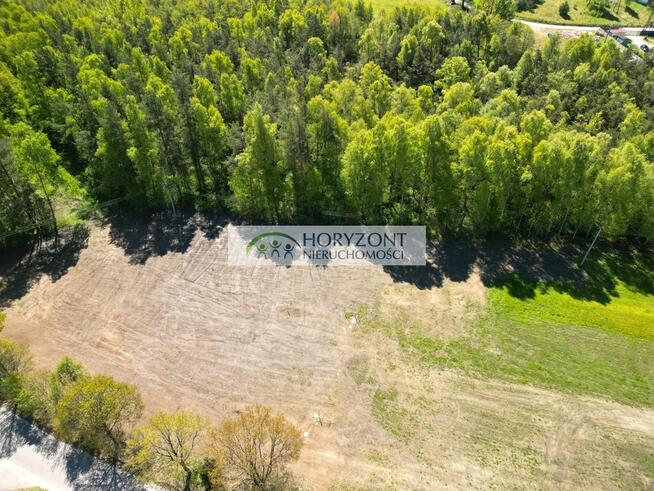 Kamień- kompleks działek przy lesie
