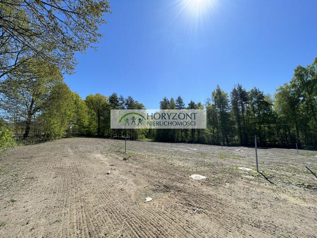 Kamień- kompleks działek przy lesie