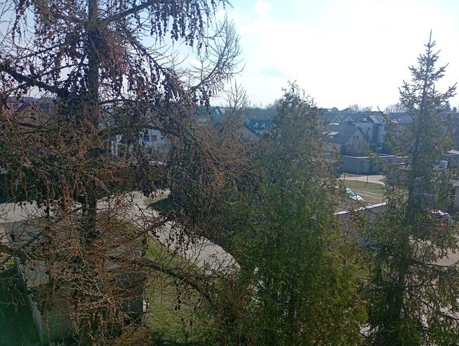 Mieszkanie Kościerzyna