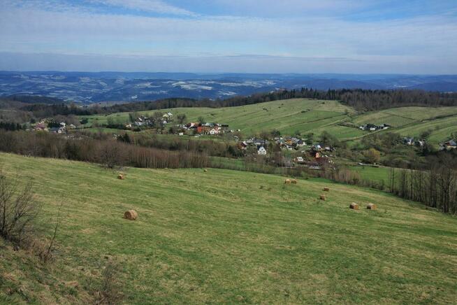 Działka Skrzętla-Rojówka gm. Łososina Dolna