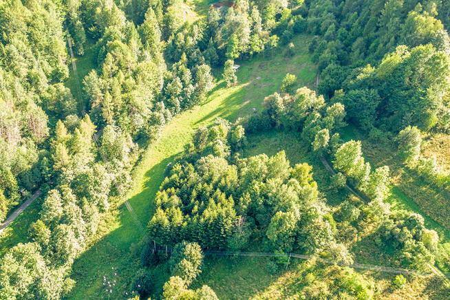 Działka Tylmanowa