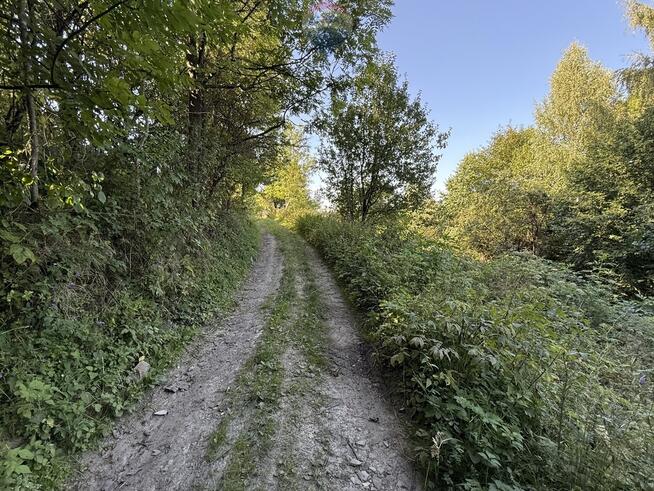 Działka Tylmanowa