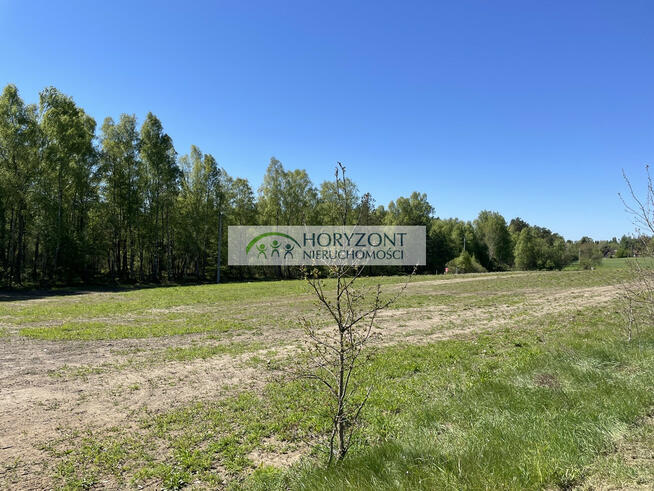 Kamień- kompleks działek przy lesie