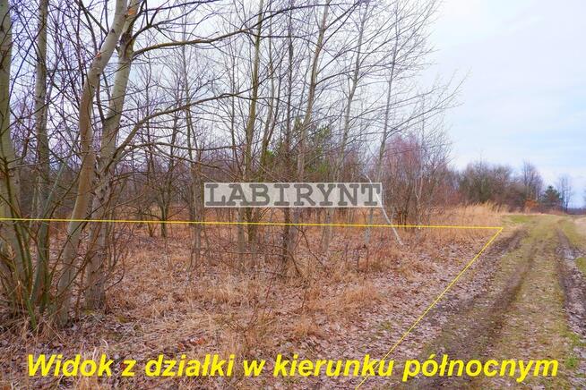 Częstochowa, Północ, 3660m2, blisko zabudowań