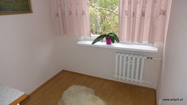 Mieszkanie Sokołów Podlaski, 8 sierpnia