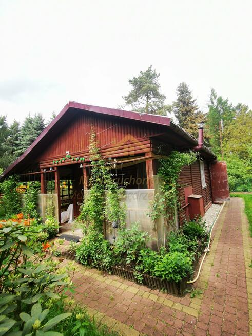 Działka rekreacyjna Władysławów gm. Żabia Wola