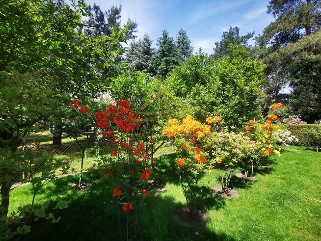 Działka rekreacyjna Władysławów gm. Żabia Wola