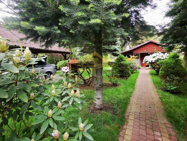 Działka rekreacyjna Władysławów gm. Żabia Wola