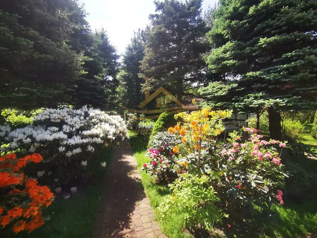 Działka rekreacyjna Władysławów gm. Żabia Wola