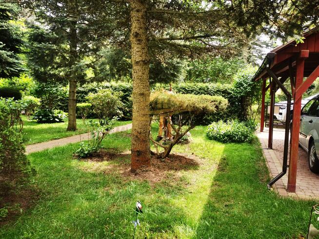 Działka rekreacyjna Władysławów gm. Żabia Wola