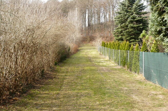 Działka przy lesie/ Park Krajobrazowy/dom lub inwestycja