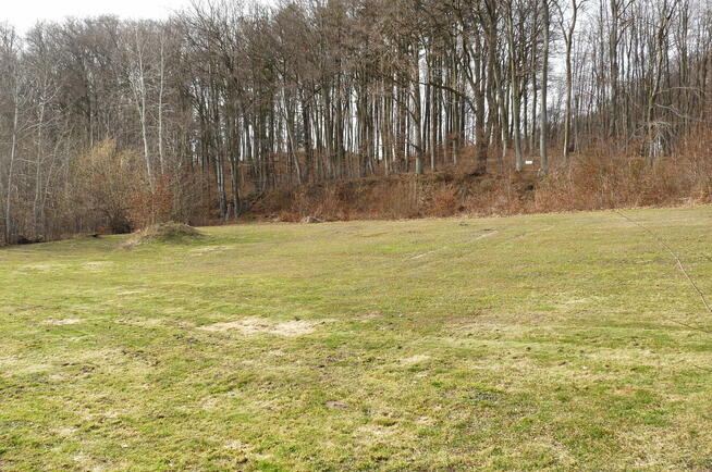 Działka przy lesie/ Park Krajobrazowy/dom lub inwestycja