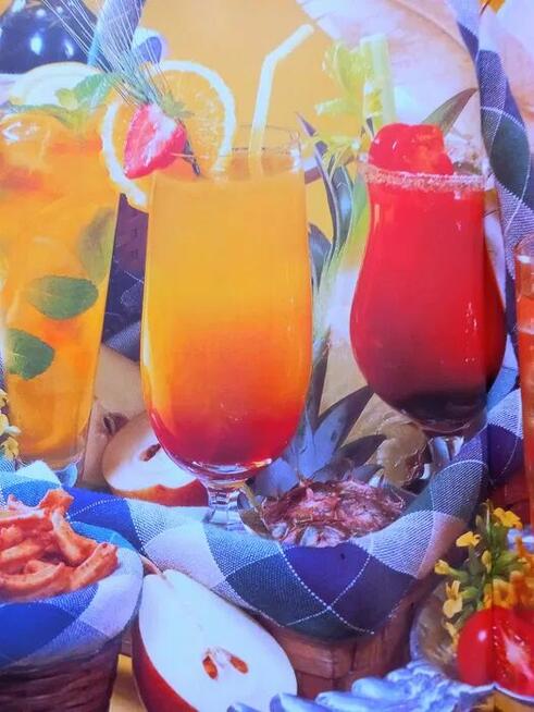 fantastyczne klasyczne KOKTAJLE i drinki przewodnik w jez. a
