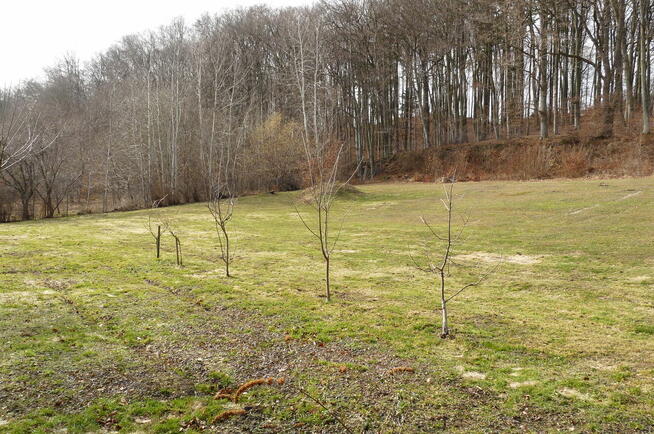 Działka przy lesie/ Park Krajobrazowy/dom lub inwestycja