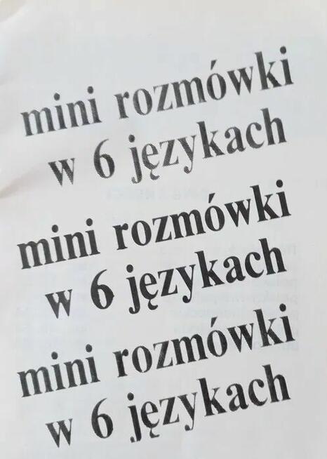 ROZMOWKI W 6 JEZYKACH (ang fran niemi szwecki hiszpanskie wl