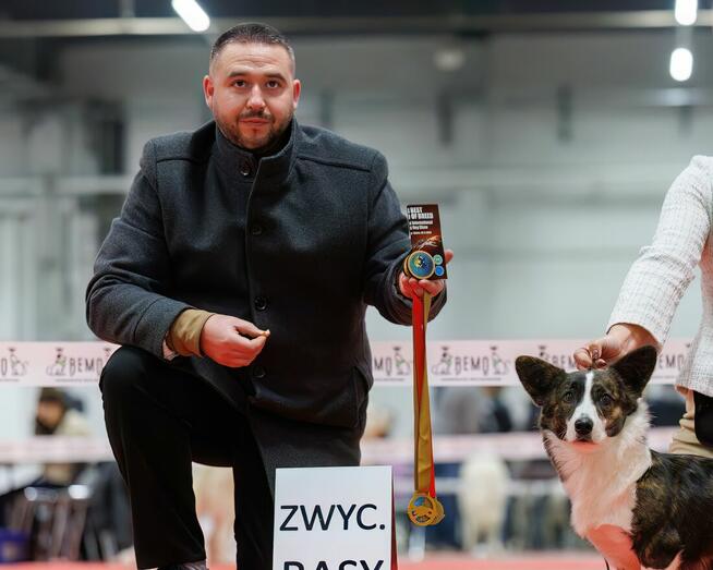 Poznanm dziewczynę Kobietę Panią