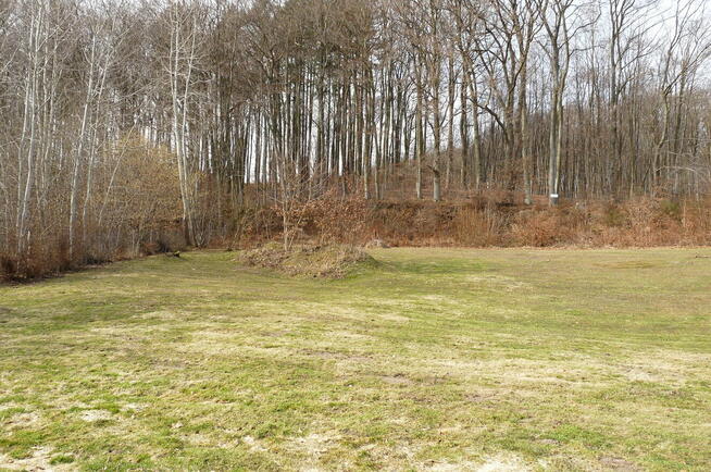 Działka przy lesie/ Park Krajobrazowy/dom lub inwestycja