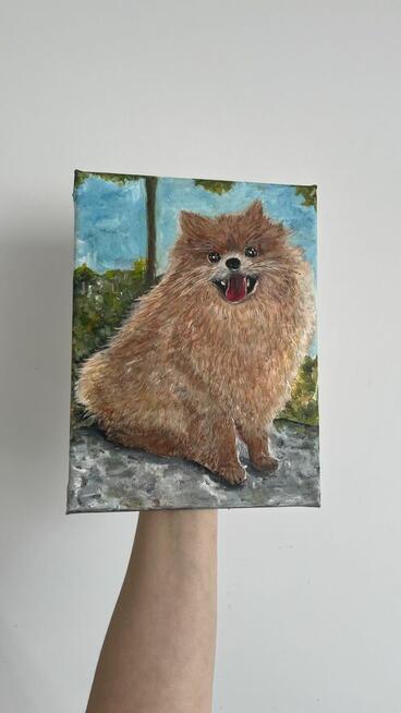 Ręcznie malowany portret – Szpic pomerański (Pomeranian) 18x