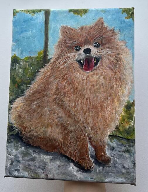 Ręcznie malowany portret – Szpic pomerański (Pomeranian) 18x