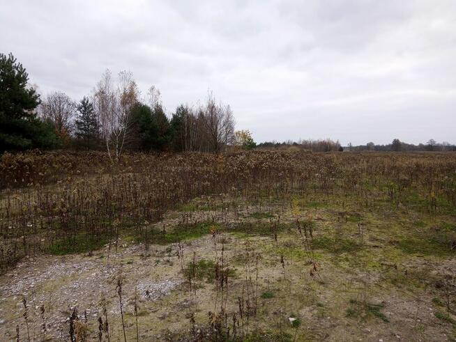 Hub Logistyczny S8 – Grunty pod hale przy samym węźle P/U.