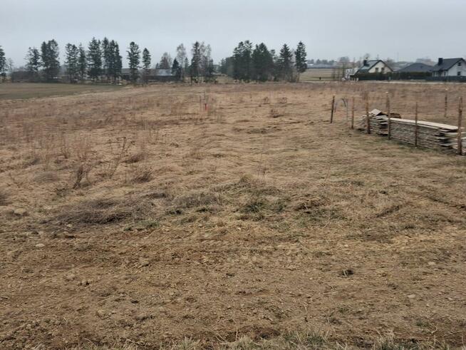 DZIAŁKA Z WZ | 1133m2 | ASFALT | BEZ POŚREDNIKÓW| Częstkowo