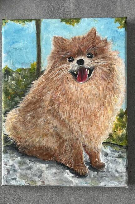 Ręcznie malowany portret – Szpic pomerański (Pomeranian) 18x