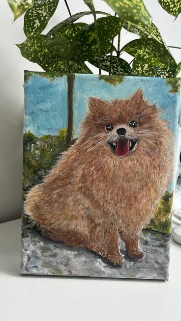 Ręcznie malowany portret – Szpic pomerański (Pomeranian) 18x