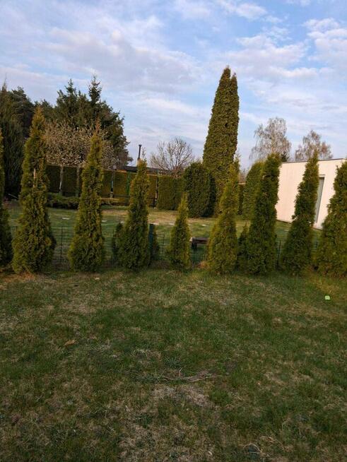 OSTATECZNA CENA DZIAŁKA REKREACYJNA BRODNICA , ALTANA, DOMEK