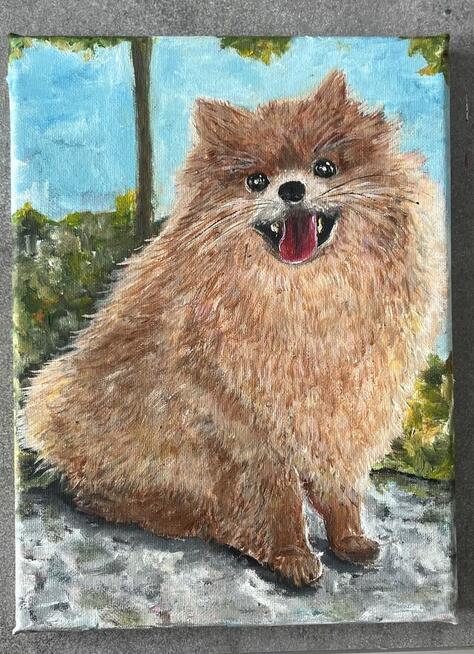 Ręcznie malowany portret – Szpic pomerański (Pomeranian) 18x