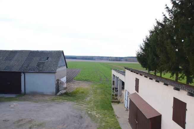 Dom 7 pokoi, duża działka Osiek Mały