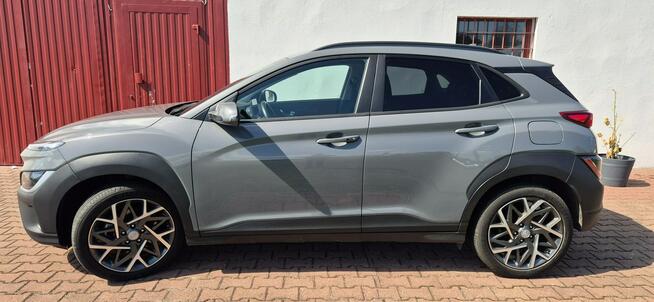 Hyundai Kona MIEKKA HYBRYDA-LIFT-KAMERA-MEDIA