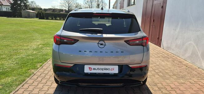 Opel Grandland SALON-BEZWYPADKOWY-BOGATA WERSJA