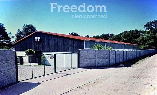 Profesjonalna Stadnina Obiekt Sportowy dla koni.