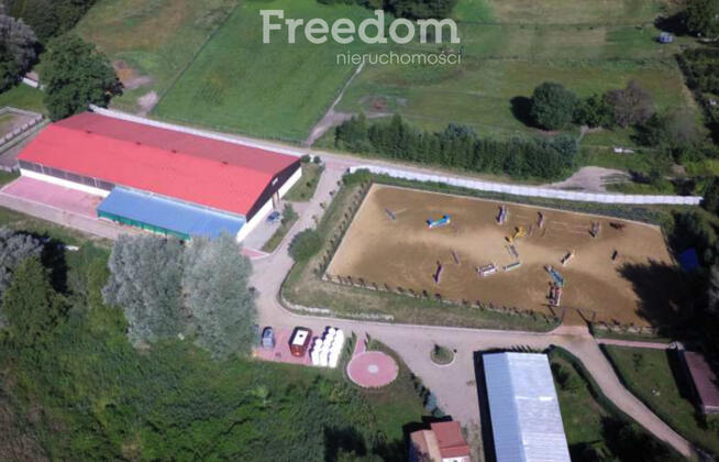 Profesjonalna Stadnina Obiekt Sportowy dla koni.