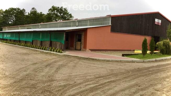 Profesjonalna Stadnina Obiekt Sportowy dla koni.