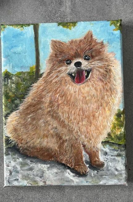 Ręcznie malowany portret – Szpic pomerański (Pomeranian) 18x