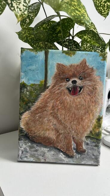 Ręcznie malowany portret – Szpic pomerański (Pomeranian) 18x
