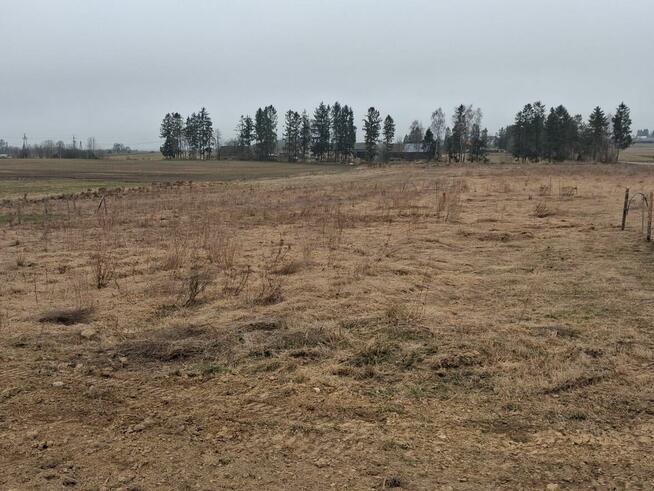 DZIAŁKA Z WZ | 1133m2 | ASFALT | BEZ POŚREDNIKÓW| Częstkowo